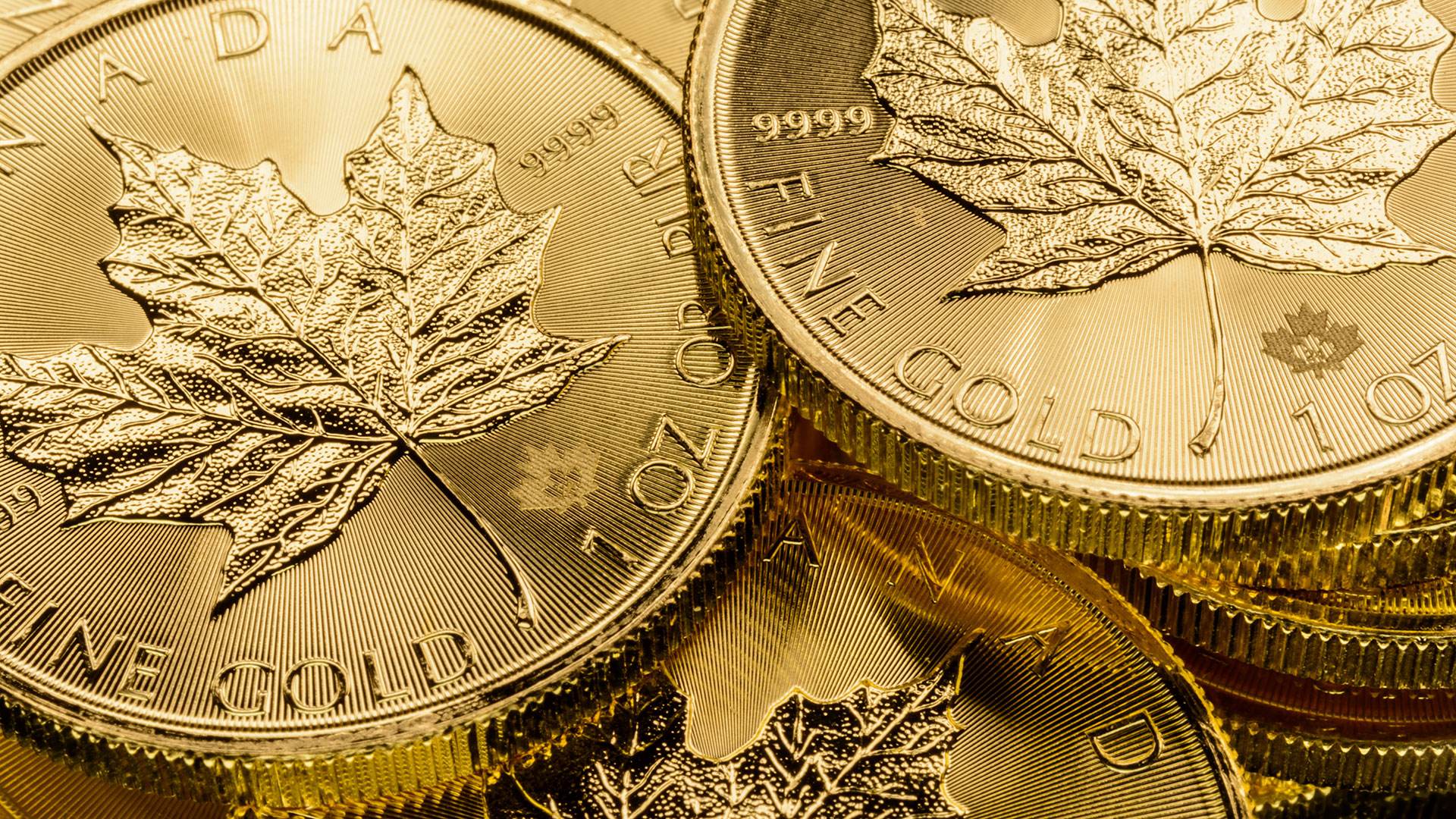 Maple Leaf. Javorový list